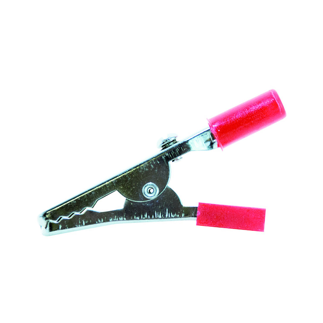 Life Pinza coccodrillo isolata innesto 4,0 mm 10 pezzi 46.0010100