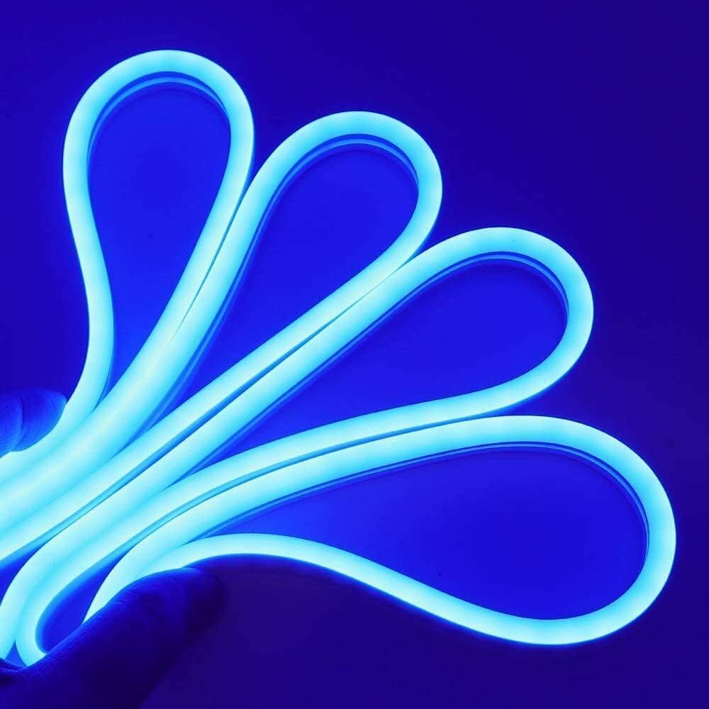 Bande LED GBC Neon, bande LED de 5 mètres, couleur bleue pour intérieur et extérieur IP67, séparable tous les mètres, bande LED flexible