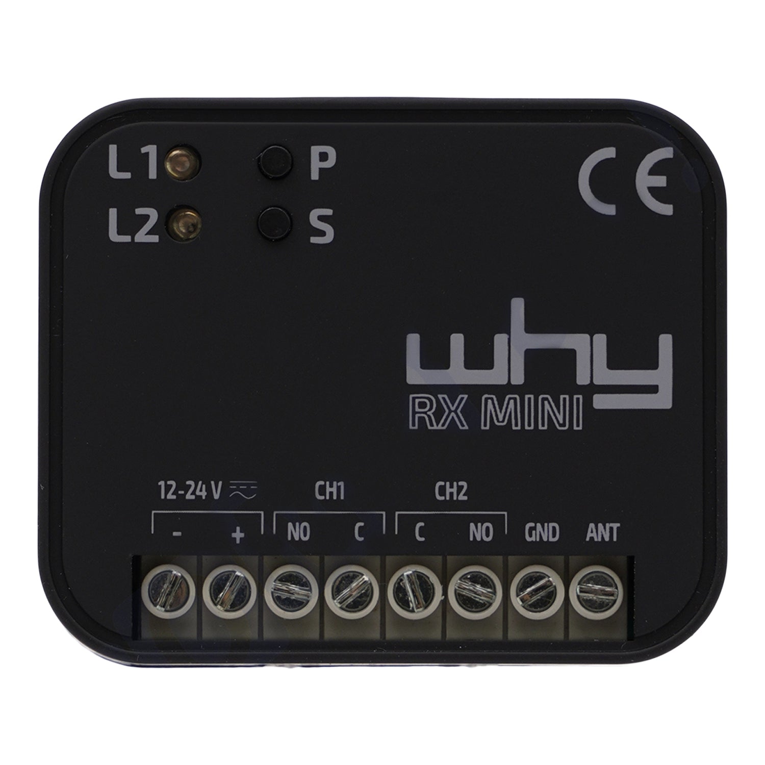 WHY-RX MINI Ricevitore multifrequenza universale da 433.92 a 868 MHz ...