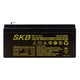 Batterie au plomb SKB batterie rechargeable SK12-3.2 série SK 12V 3.2AH, technologie de plaque plate AGM régulée avec valve