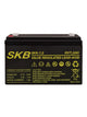 Batterie au plomb SKB batterie rechargeable SK6-7 série SK 6V 7AH, technologie à plaque plate AGM régulée par valve