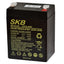 SKB Batteria al piombo SK12-2,9 batteria ricaricabile 12V 2,9AH serie SK, tecnologia AGM piastra piana regolate con valvola