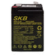 Batterie au plomb SKB batterie rechargeable SK6-3.2 série SK 6V 3.2AH, technologie de plaque plate AGM régulée par valve