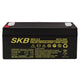 SKB batterie au plomb Rechargeable 6V 3.2AH batterie hermétique série SK, technologie de plaque plate AGM régulée avec valve