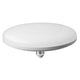WIWA Lampada a LED da 36W, attacco E27, lampadina a luce calda 3000K con classe energetica A+