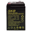 SKB Batteria al piombo SK6-4,5 batteria ricaricabile 6V 4,5AH serie SK, tecnologia AGM piastra piana regolate con valvola
