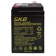 Batterie au plomb SKB batterie rechargeable SK6-4.5 série SK 6V 4,5ah, technologie de plaque plate AGM régulée par valve