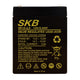 Batterie au plomb SKB batterie rechargeable SK12-2.9 série SK 12V 2.9AH, technologie de plaque plate AGM régulée avec valve