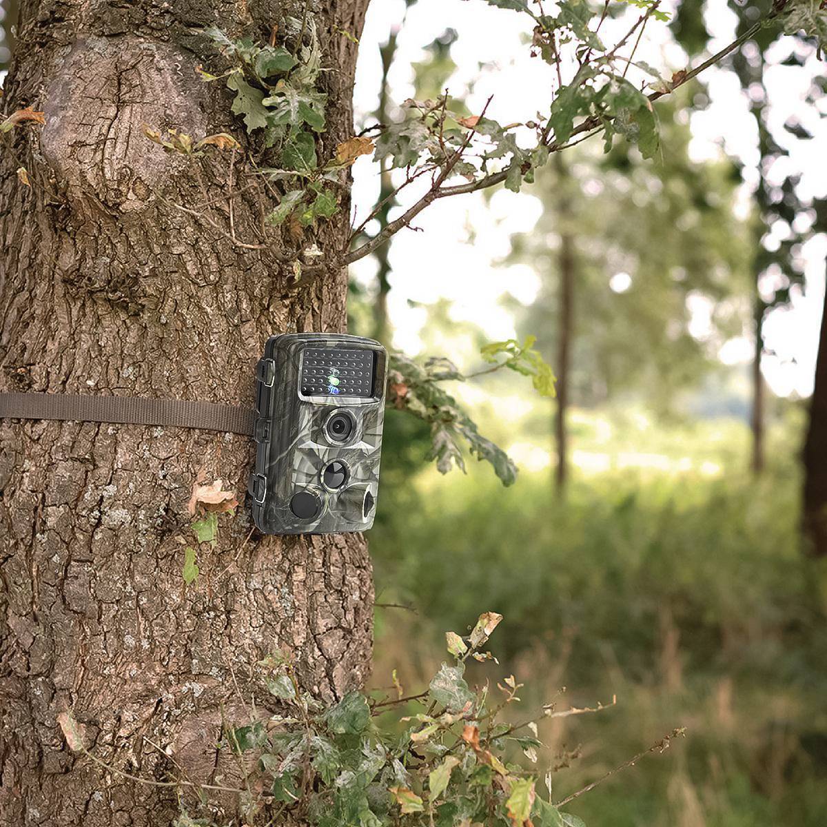 Nedis Caméra Camouflage 1080p 30fps, caméra 24MP avec écran 2,4", IR noir sans lumière, vision nocturne, caméra à capteur de mouvement, surveillance de la faune